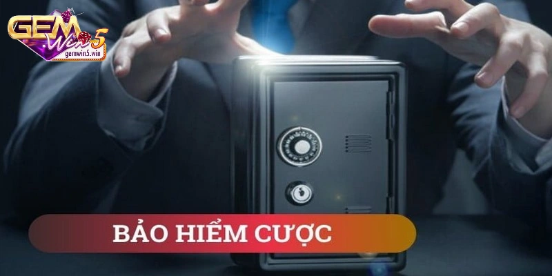 bao-hiem-ca-cuoc-doi-net